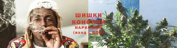 apvp Алзамай