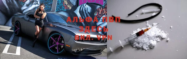 apvp Алзамай