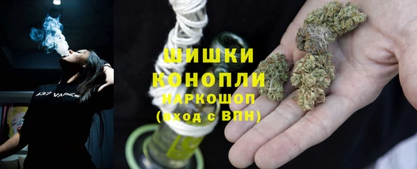 apvp Алзамай