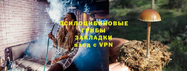 apvp Алзамай